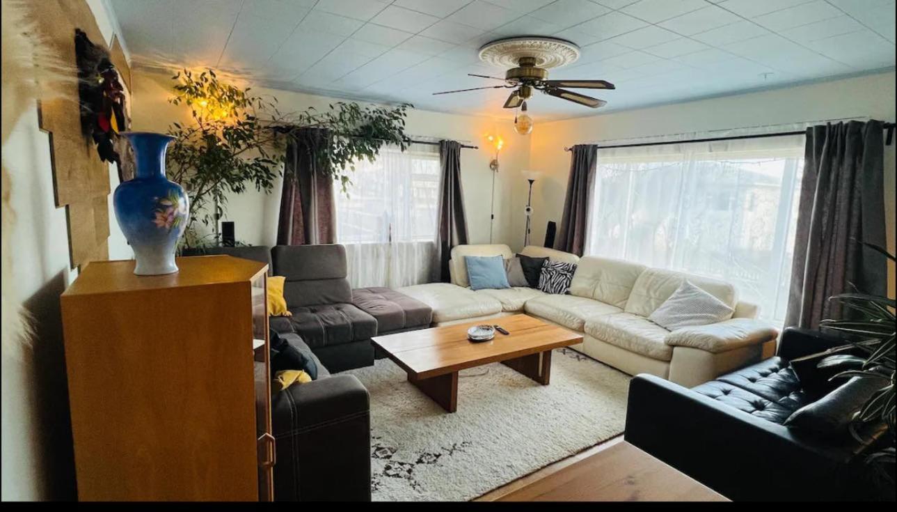 Dream Guesthouse Vik i Myrdal Luaran gambar